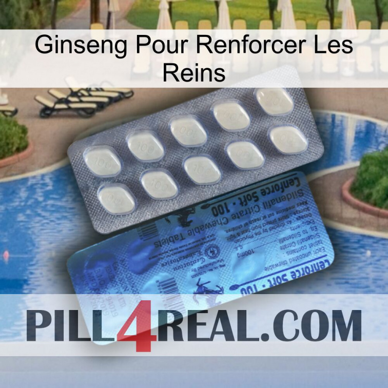 Ginseng For Reinforcing Kidney 34